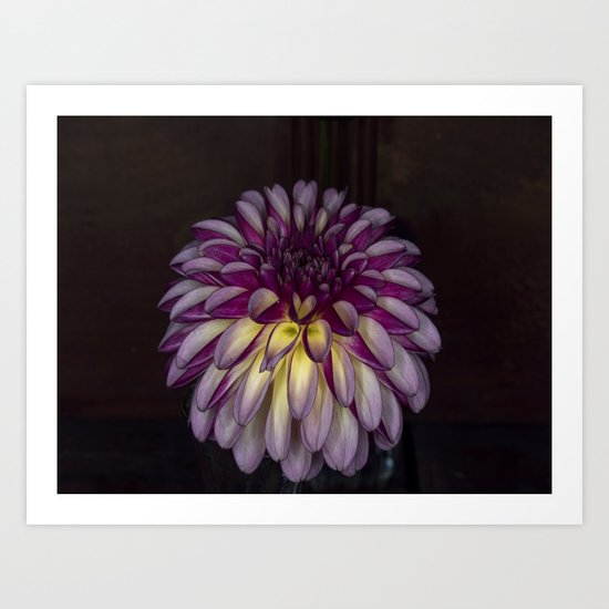 Flower glow Art Print