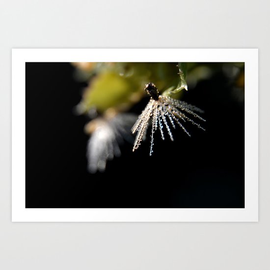 The Delicate Art Print