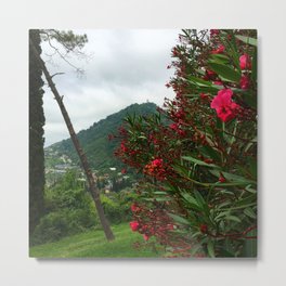 The Flowers Mountain Metal Print | Flowers, Sky, Green, Digital, Abkhazia, Trees, Summer, Hdr, Photo, Film 