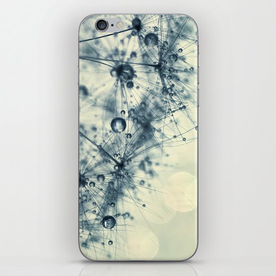 dandelion iPhone & iPod Skin