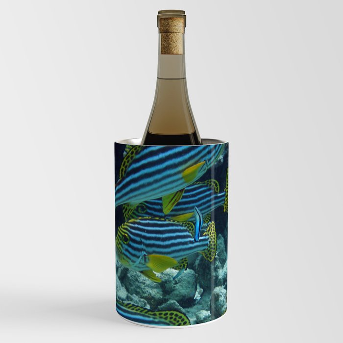 clownfish Wine Chiller