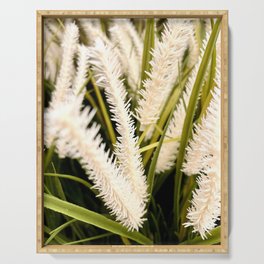 Radiance of the Cattails Serving Tray