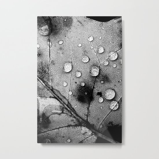 leaf Metal Print