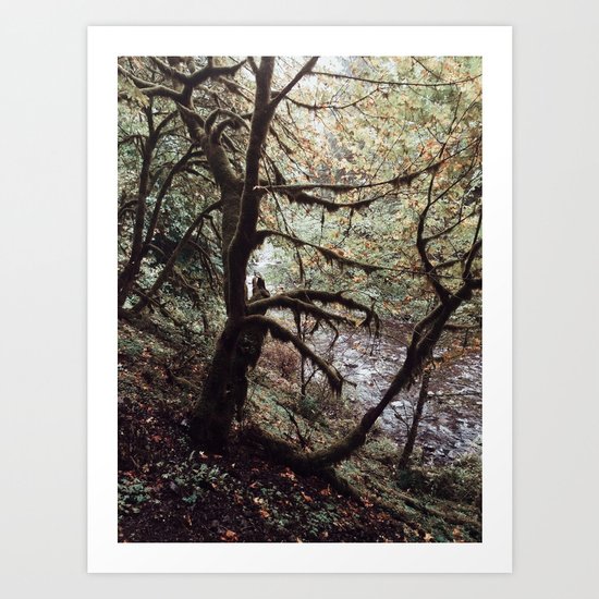 Bit of Moss Art Print