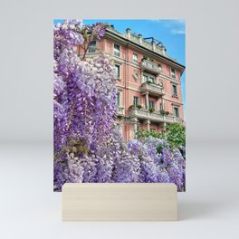 Wisteria in Milan, Italy, spring Mini Art Print