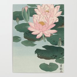 Flowering Water Lily, Ohara Koson Poster