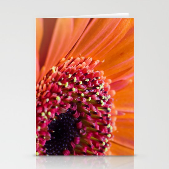 Orange Germini. Stationery Cards