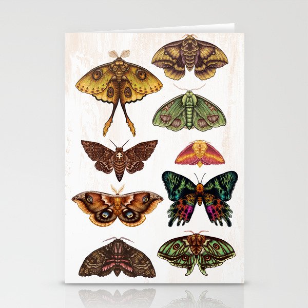 Moth Wings III Stationery Cards