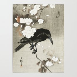 Raven on Cherry tree - Japanese vintage woodblock print Poster