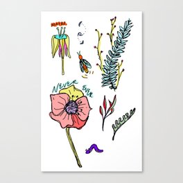 Flower Collection Canvas Print