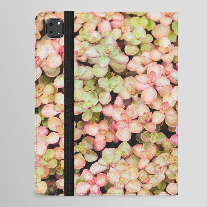 Pastel Succulents iPad Folio Case