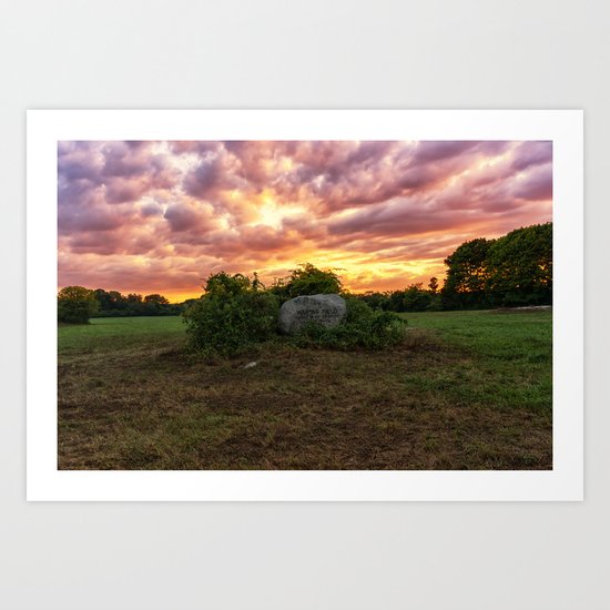 Waring field at sunset Art Print