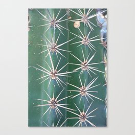 Large Cactus Canvas Print