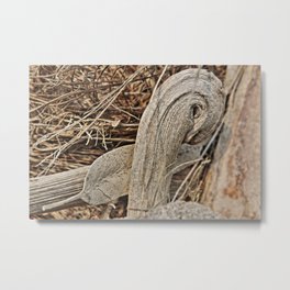 Still life in palm bark Metal Print | Collage, Nature, Photo 