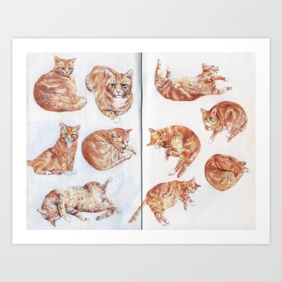 Rhubarb (my cat) studies Art Print