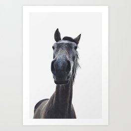 Simply horse Art Print