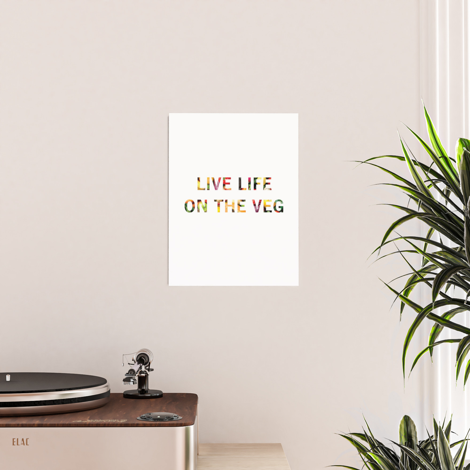 society6