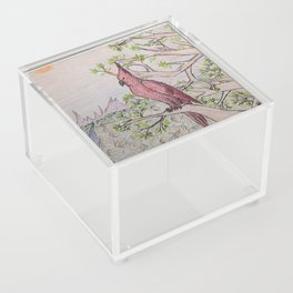 A Grand View Acrylic Box