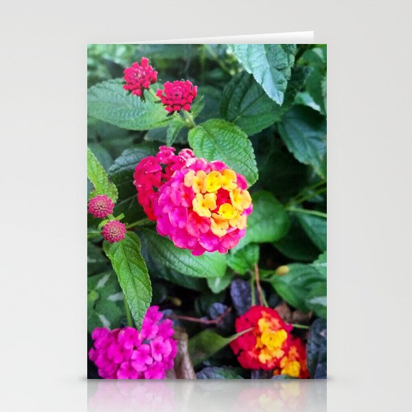 Floral - Nature - Pretty - High Quality Stationery Cards