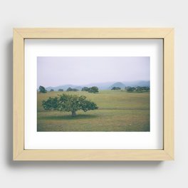Oak Trees in Santa Ynez, California Recessed Framed Print