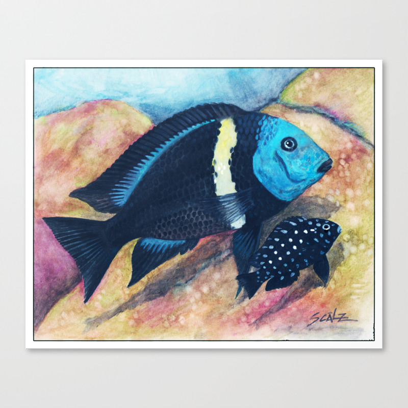 Tropheus Duboisi And Juvenile Canvas Print By Samscalz Society6