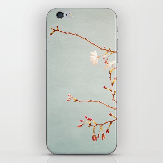 Painted Sky iPhone & iPod Skin