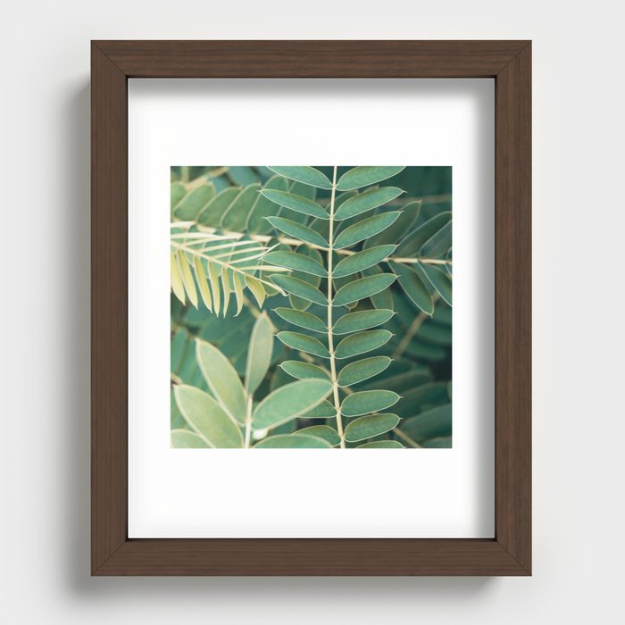 Layers Of Green #6 Recessed Framed Print