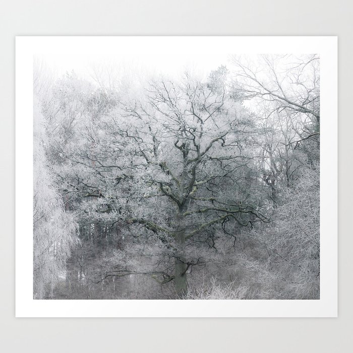 Frosty Winter Tree Art Print