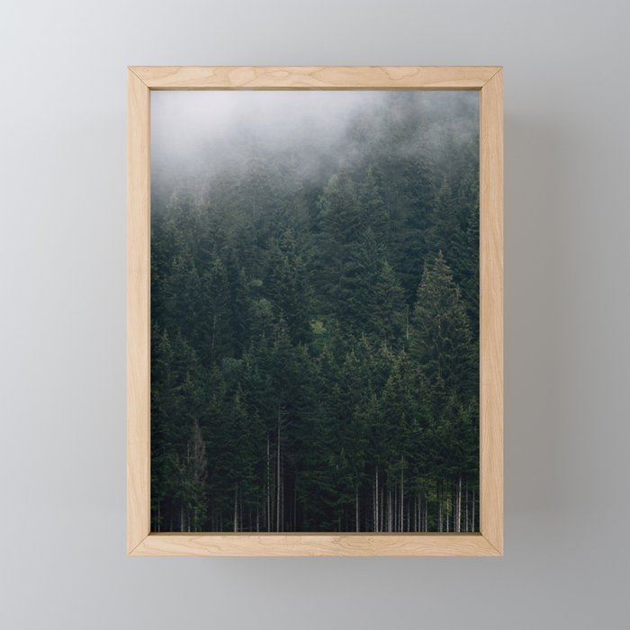Mystic Pines - A Forest in the Fog Framed Mini Art Print
