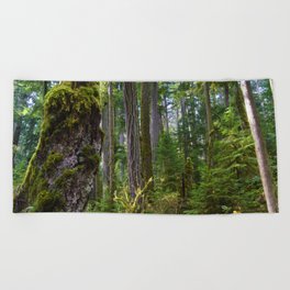 Cathedral Grove, Vancouver Island BC Beach Towel