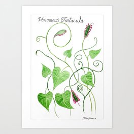 Venomous Tentacula Botanical Art Art Print