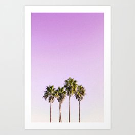 Palms on Pink Art Print