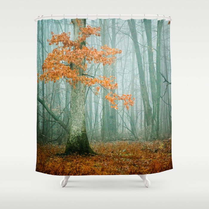 Autumn Woods Shower Curtain