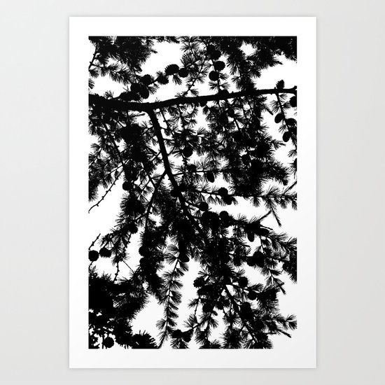 B&W Evergreen Art Print