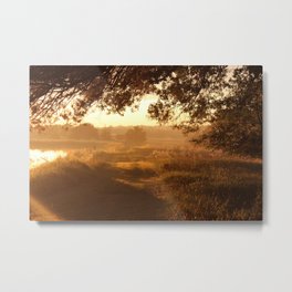 Path Less Traveled Metal Print | Lake, Easttexas, Goldenhour, Photo, Path, Sunrise, Nature, Sunset, Landscapes, Landscape 