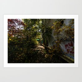 Autumn Leaves and Decay Art Print