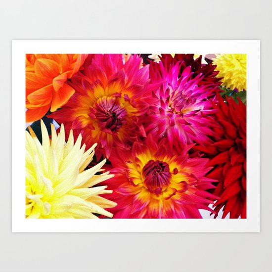 Riot of Colour Art Print