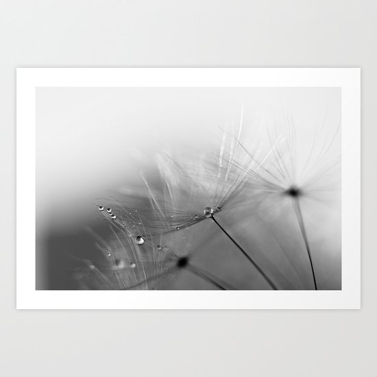 balance Art Print