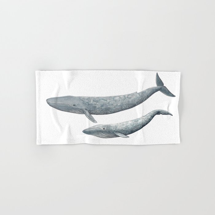 Blue whales Balaenoptera musculus Blue whale Hand Bath Towel