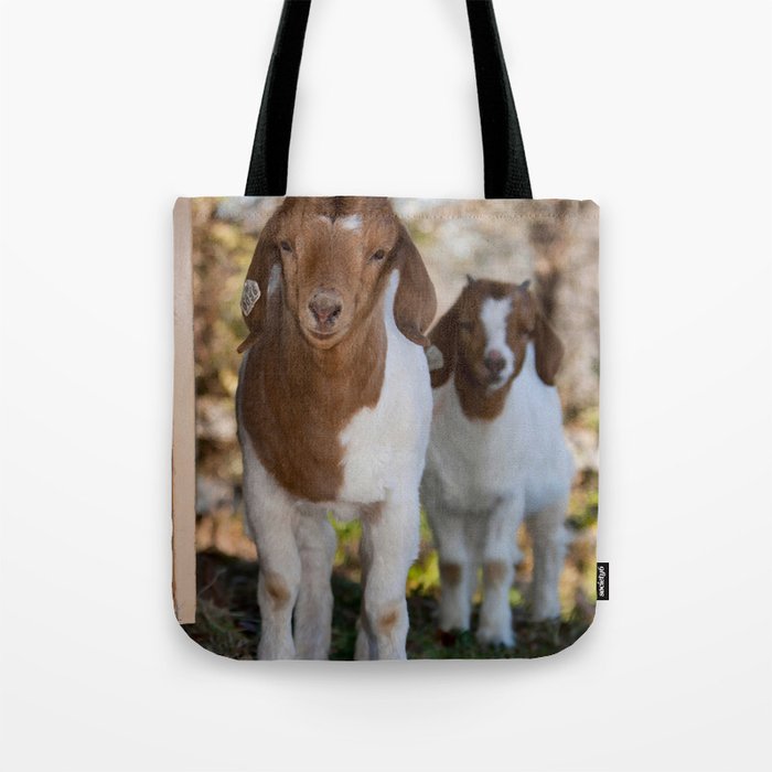 Two Young Brown White Goats Look  Tote Bag