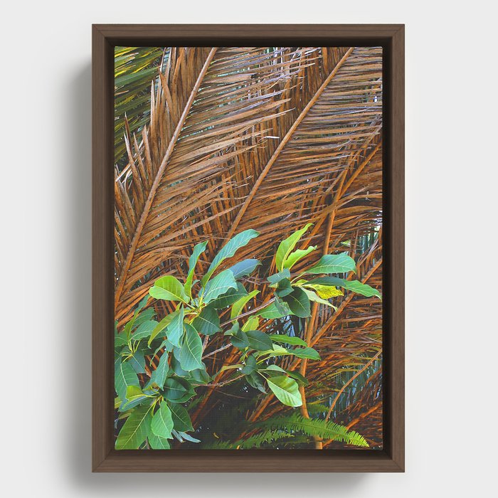 Some Foliage II Framed Canvas