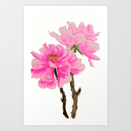 two pink peonies watercolor Art Print