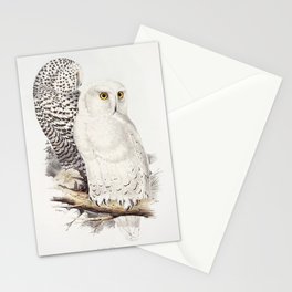 Snowy Owl Stationery Card