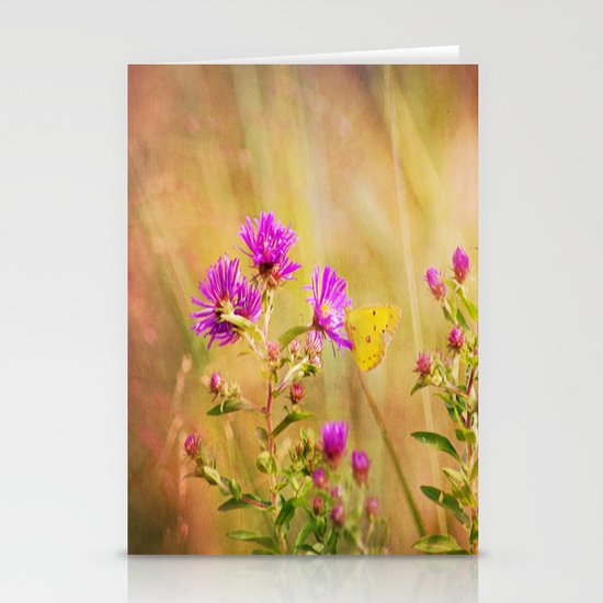Wonder Stationery Cards