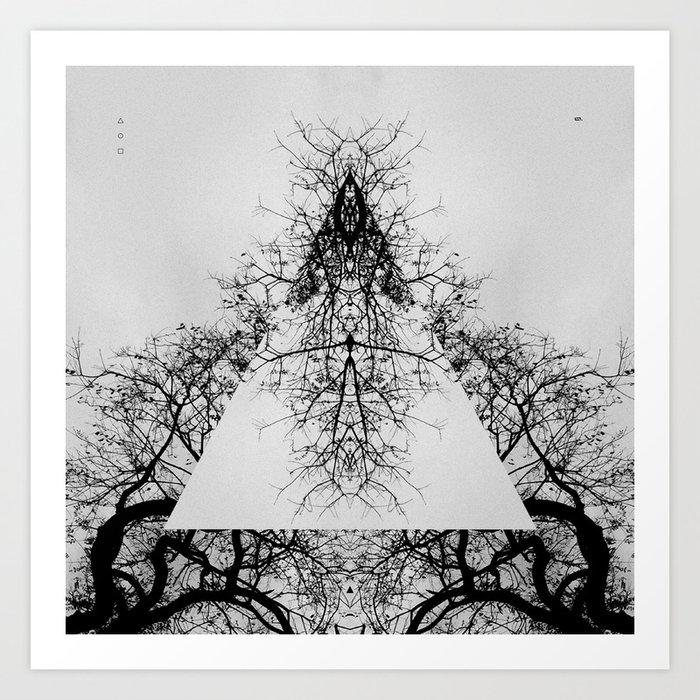 Pyramid Of Dry Tree Art Print By Linco7n Society6