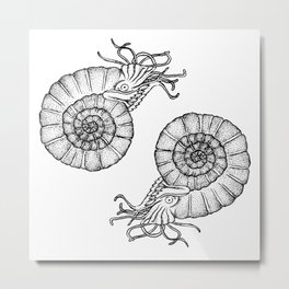 Ammonites Metal Print