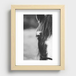 Blue Eye - horse photography Recessed Framed Print