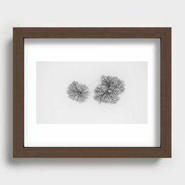 Winter's Contrasts Recessed Framed Print
