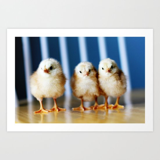 buckeye chicks Art Print