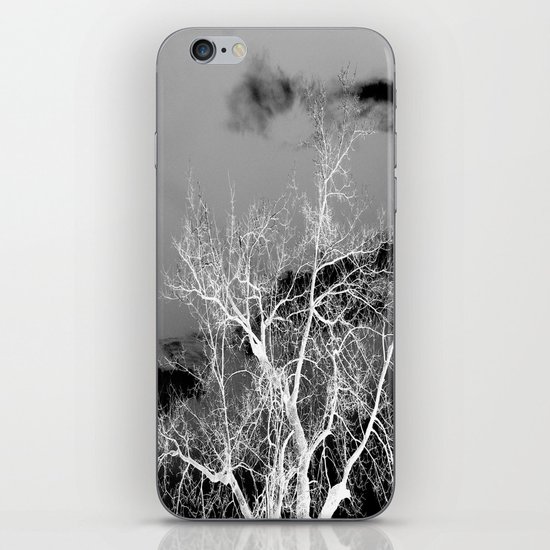 Go Ahead and See iPhone & iPod Skin